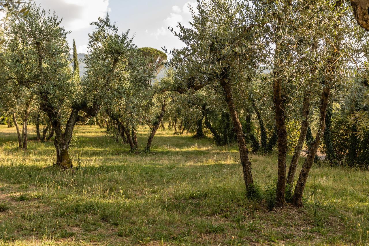 Hotel Ristorante Casa Volpi Arezzo Dış mekan fotoğraf